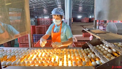 網(wǎng)眼看欽州|誠信食品企業(yè)開放日，“零距離”感受放心食品